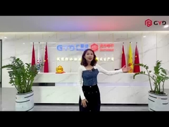 Εισαγωγή της εταιρείας